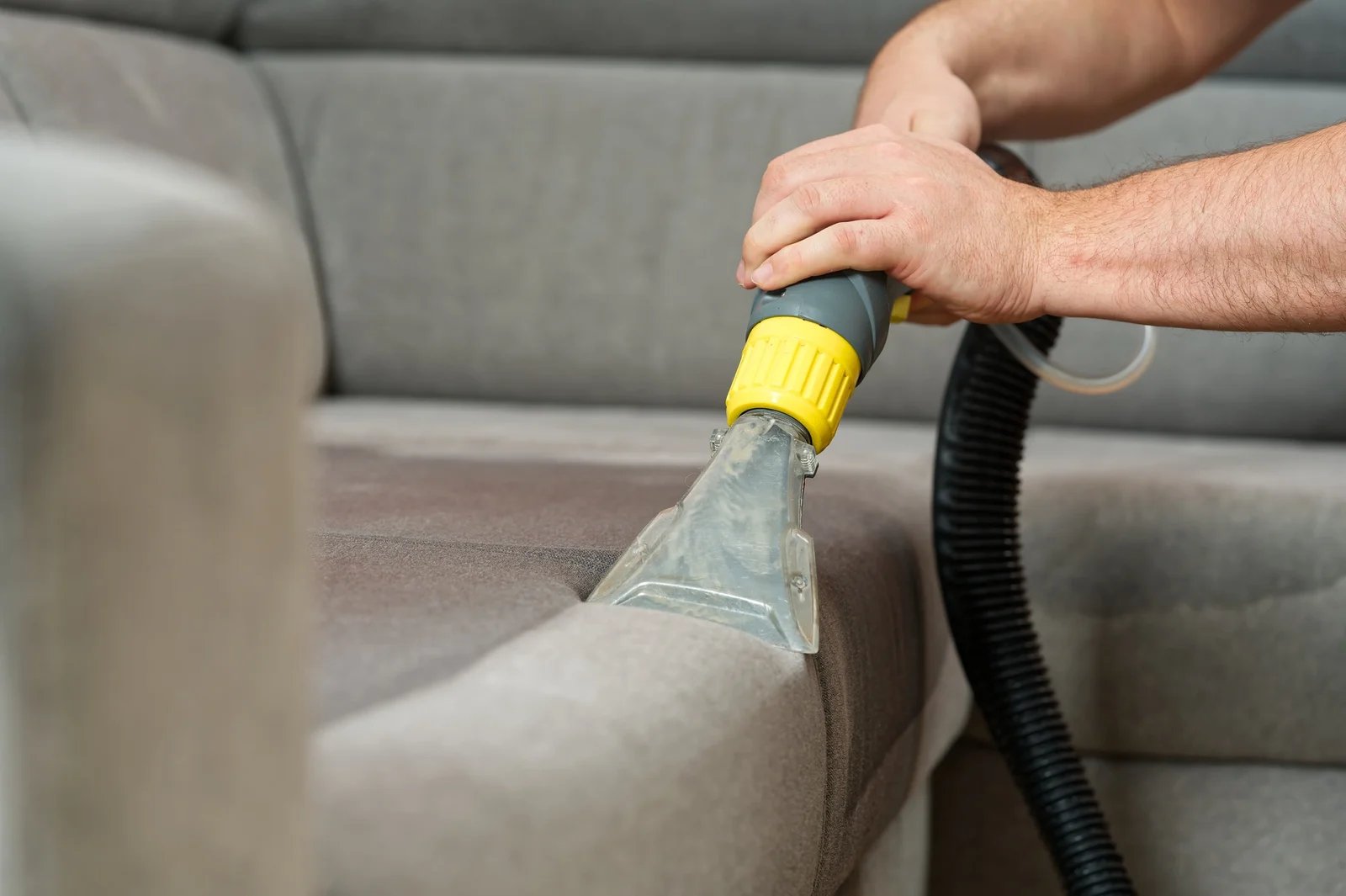 Professional Carpet Cleaning