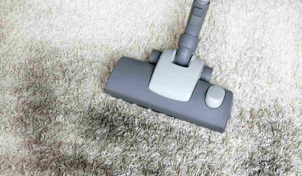 Dangers of a Dirty Carpet